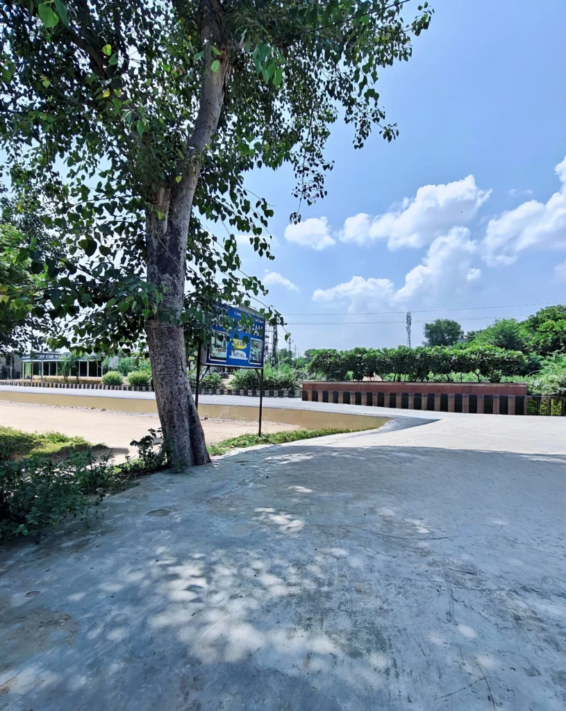 Open, Safe parking space area for guests